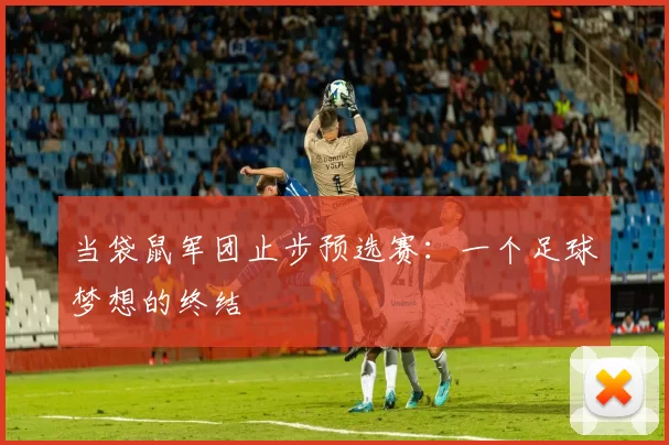 当袋鼠军团止步预选赛：一个足球梦想的终结