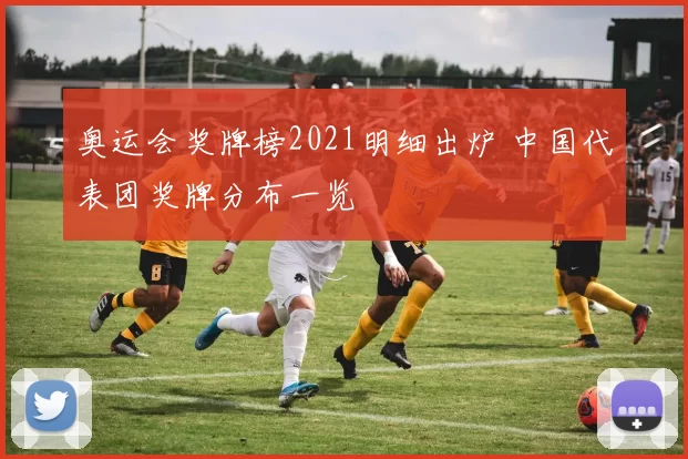 奥运会奖牌榜2021明细出炉 中国代表团奖牌分布一览