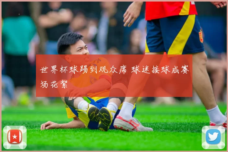 世界杯球踢到观众席 球迷接球成赛场花絮