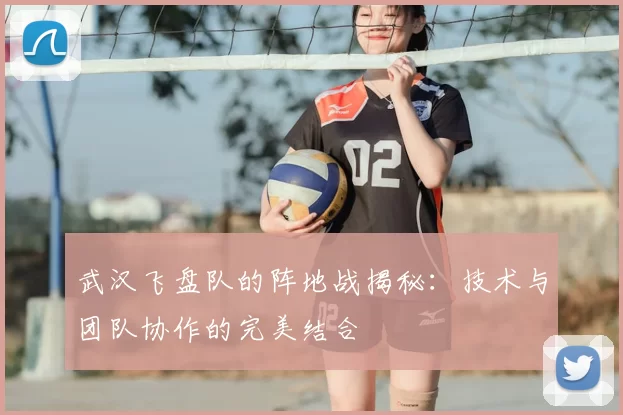武汉飞盘队的阵地战揭秘：技术与团队协作的完美结合