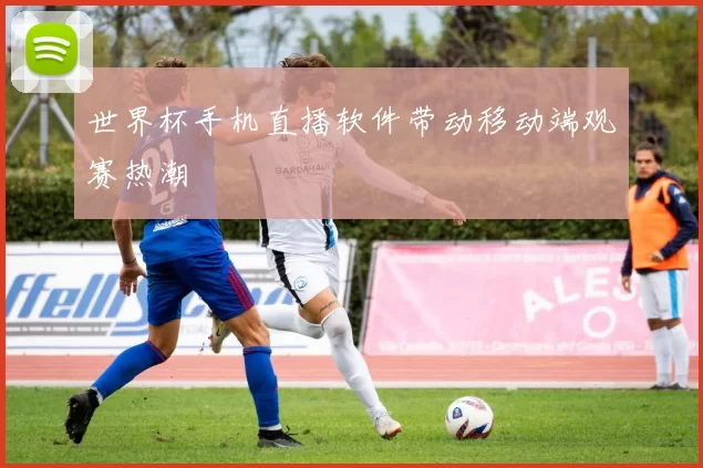 世界杯手机直播软件带动移动端观赛热潮