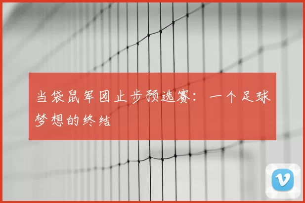 当袋鼠军团止步预选赛：一个足球梦想的终结
