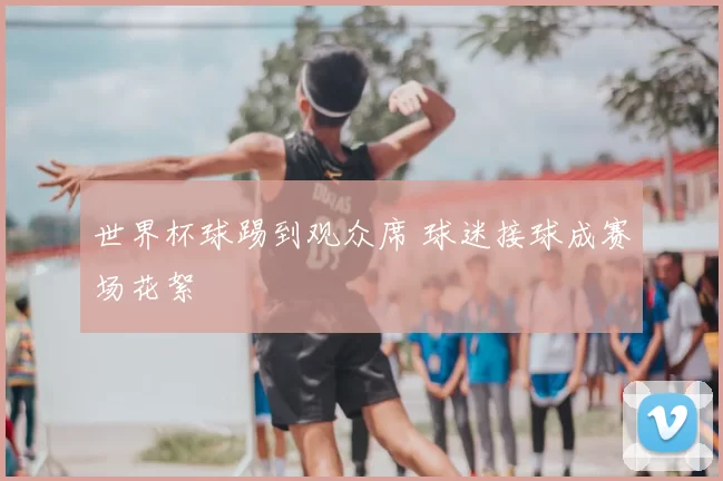 世界杯球踢到观众席 球迷接球成赛场花絮