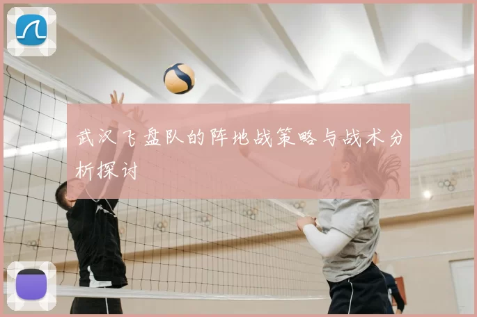武汉飞盘队的阵地战策略与战术分析探讨