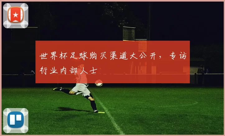 世界杯足球购买渠道大公开，专访行业内部人士
