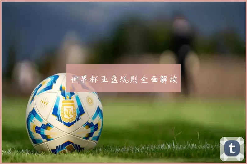 世界杯亚盘规则全面解读