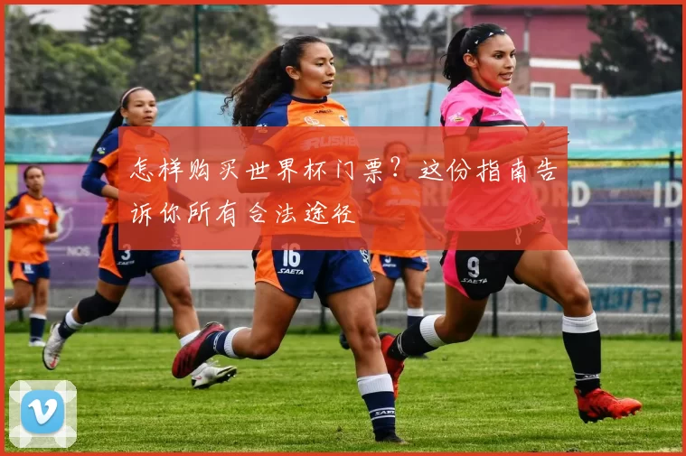 怎样购买世界杯门票？这份指南告诉你所有合法途径