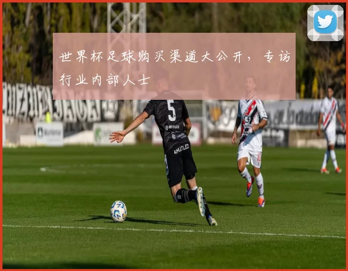世界杯足球购买渠道大公开，专访行业内部人士