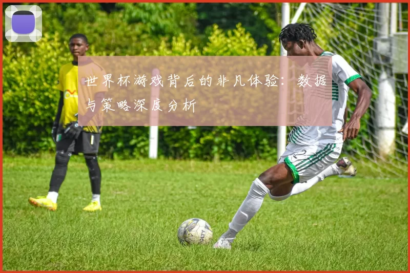 世界杯游戏背后的非凡体验：数据与策略深度分析