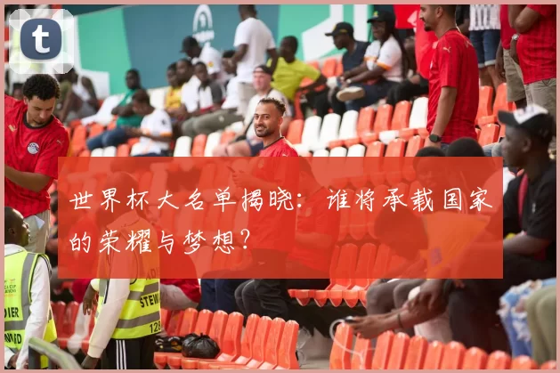 世界杯大名单揭晓：谁将承载国家的荣耀与梦想？