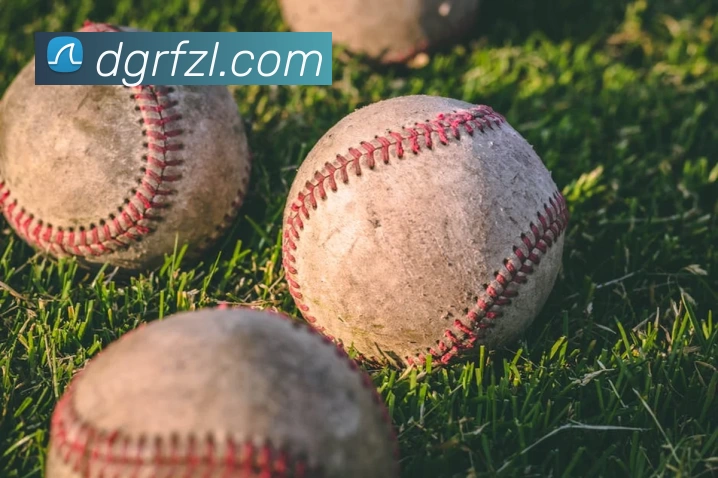 彩神vll平台生态图